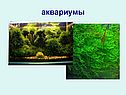 Аквариумы