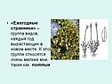 Ежегодные странники