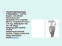 Кратковременные странники