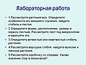 Лабораторная работа