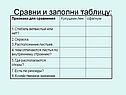 Сравни и заполни таблицу