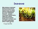 Значение