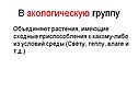 Растения, имеющие сходные приспособления