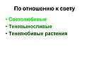 По отношению к свету