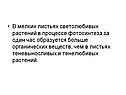В процессе фотосинтеза