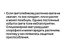 Постоянный избыток света