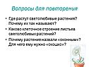Вопросы для повторения