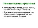 Теневыносливые растения
