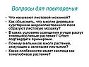 Что называют листовой мозаикой
