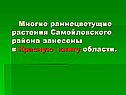 Многие раннецветущие растения Самойловского района занесены в Красную