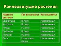 Раннецветущие растения