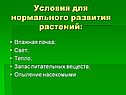Условия для нормального развития растений: