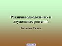 Различия однодольных и двудольных растений
