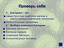 Проверь себя