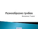 Разнообразие грибов