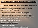 Птицы открытых пространств суши