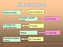 Насиживание