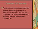 Ордовик