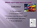 Общая характеристика класса рыб