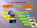Классификация рыб