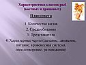 Количество видов