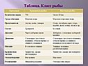 Таблица