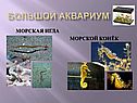 Морская игла