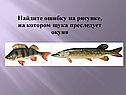 Найдите ошибку на рисунке