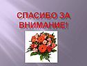 Рыба - это животное