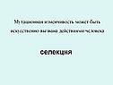 Селекция