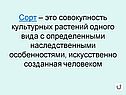 Сорт