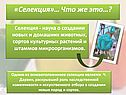 «Селекция»… Что же это…