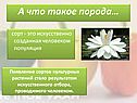 А что такое порода…