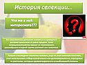 История селекции…