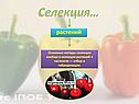 Селекция…