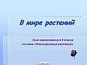 В мире растений