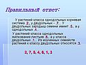 Правильный ответ: