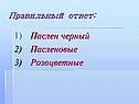 Паслен черный Пасленовые Розоцветные