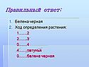 Правильный ответ: