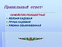 Правильный ответ: