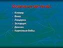 Кормовые растения