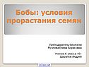 Бобы