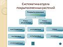 Систематика отдела покрытосеменных растений