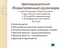 Цветковые растения