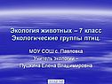 Экологические группы птиц