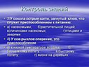 У сокола острые когти, загнутый клюв