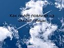 Как полёт повлиял на скелет птицы