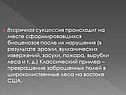 Вторичная сукцессия происходит на месте сформировавшихся биоценозов