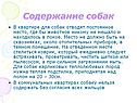 Содержание собак