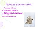 Проект выполнили: